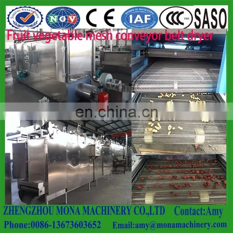Industrial/commercial tunnel mango microwave dryer/drying machine/dehydrator