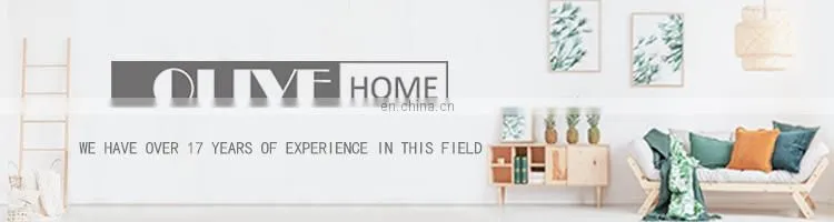 Decorative Throw Pillow Covers Square Outdoor Couch Personalized Printed Pillow Cushion with Piping Edge