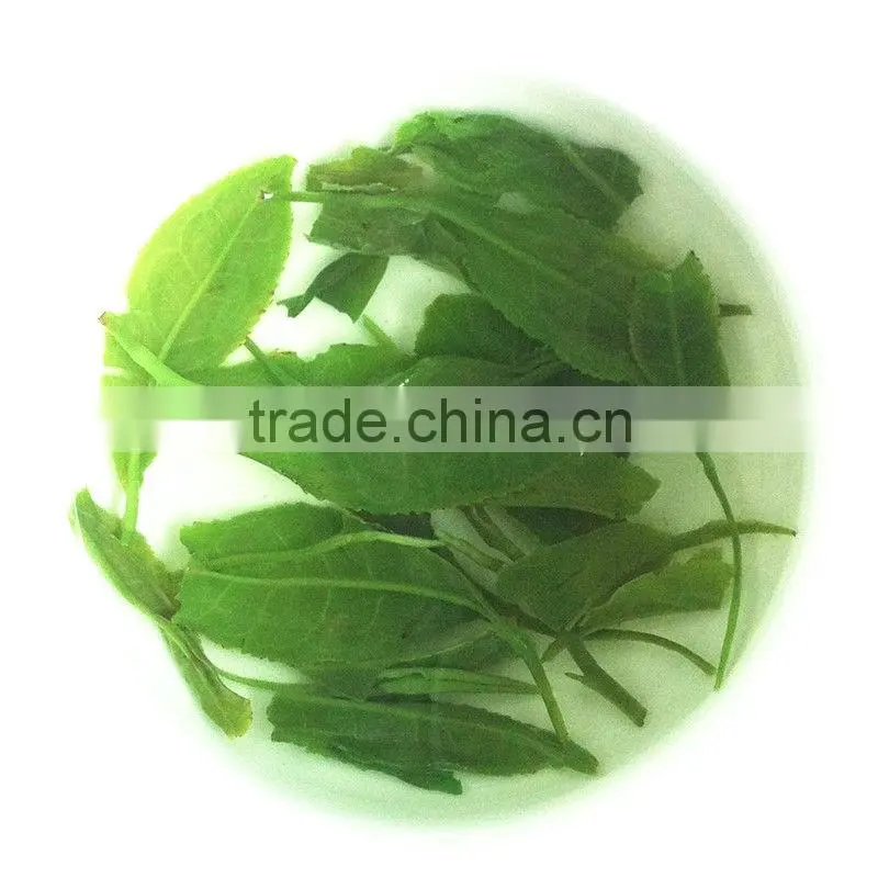 Promotion! Xinyangmaojian Green Tea,Low Price