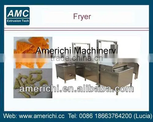 Continuous chips fryer