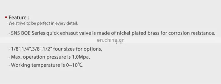 SNS BQE Series professional pneumatic air quick release valve air exhausting valve