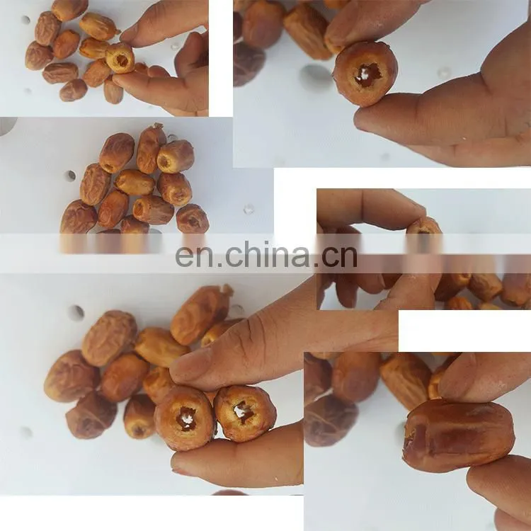 Cheapest Price Henan Automatic Cherry Olive Kernel Corer Date Seed Pit Pitter Corer