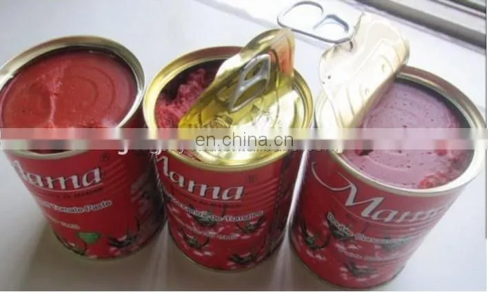 Canned tomato paste making machine