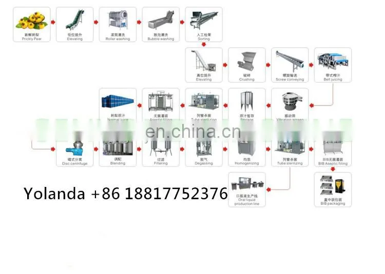 commercial roxburgh rose juice concentrate processing line