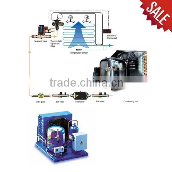 China Banana searing Rooms with condensing unit