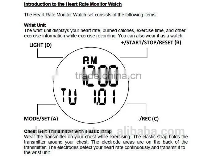 Digital training programs Heart Rate Monitors - Pulse Heart Rate Watch