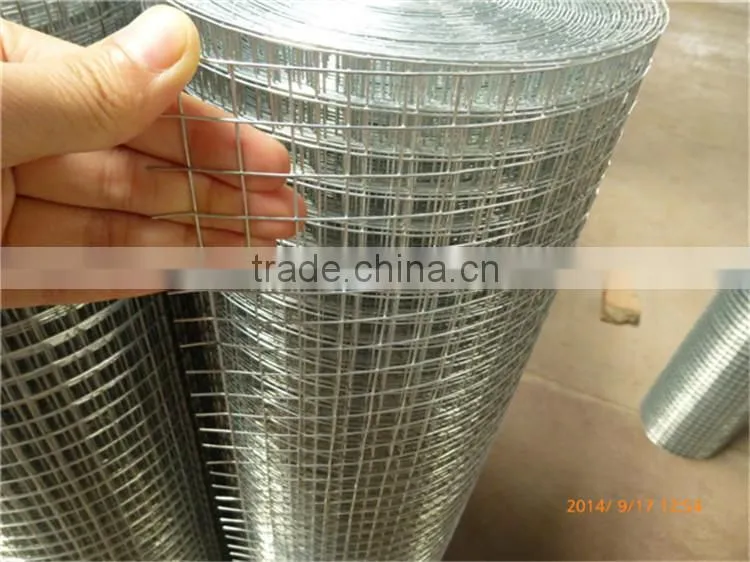 good quality 12x12mm pvc coated welded wire mesh