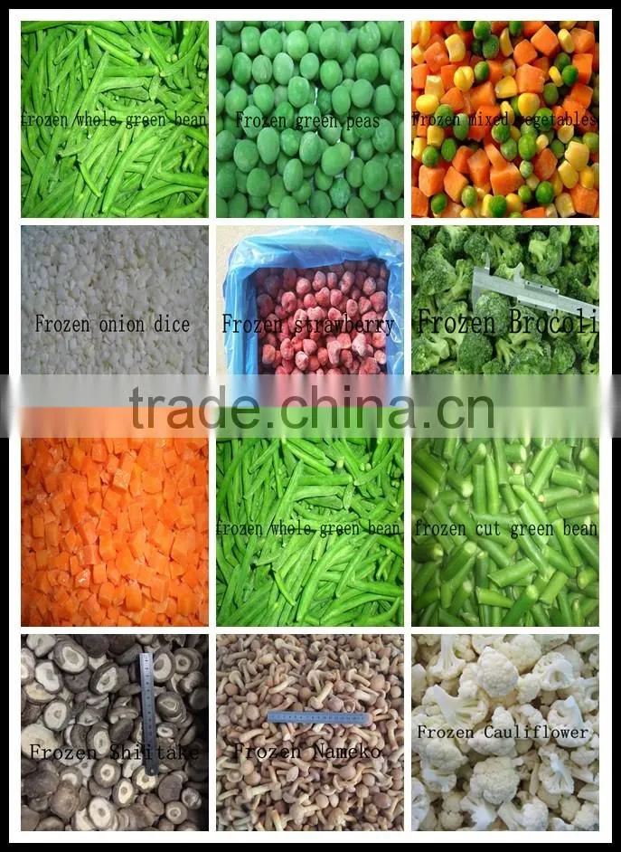 IQF Frozen sweet corn kernel Jinfei Cuiwang huazhen variety