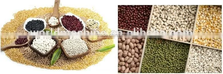 (Skype/Wechat: hnlily07) electric spice and coffee grinder