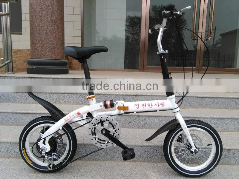 12 Inch Steel Folding Bike Bicycle