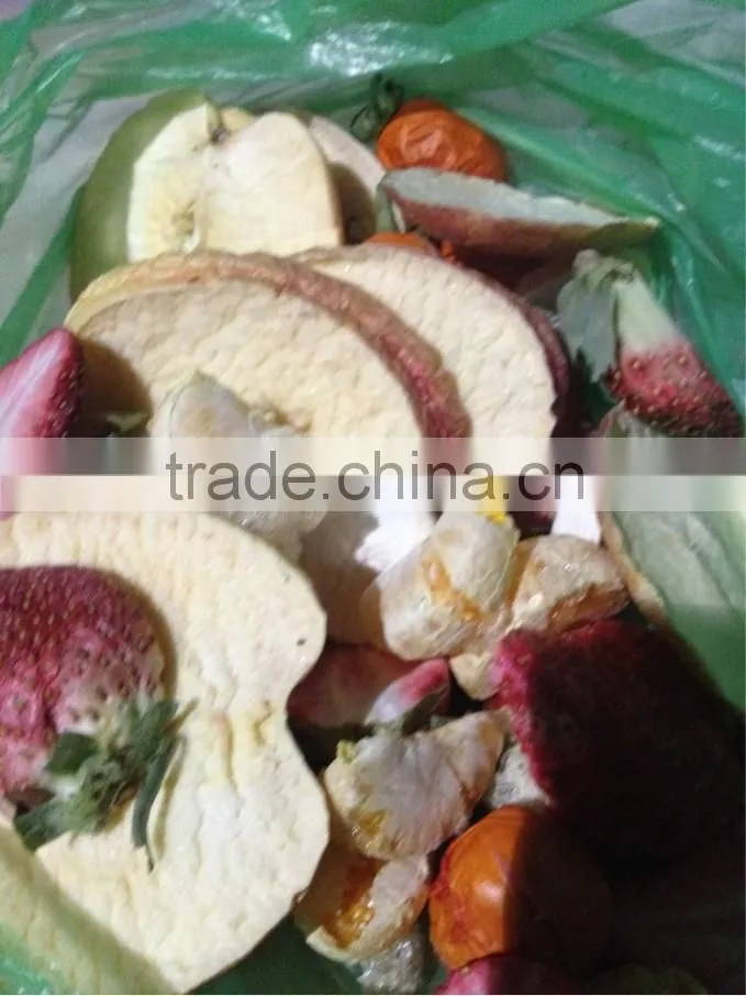 Vacuum Freeze Dryer