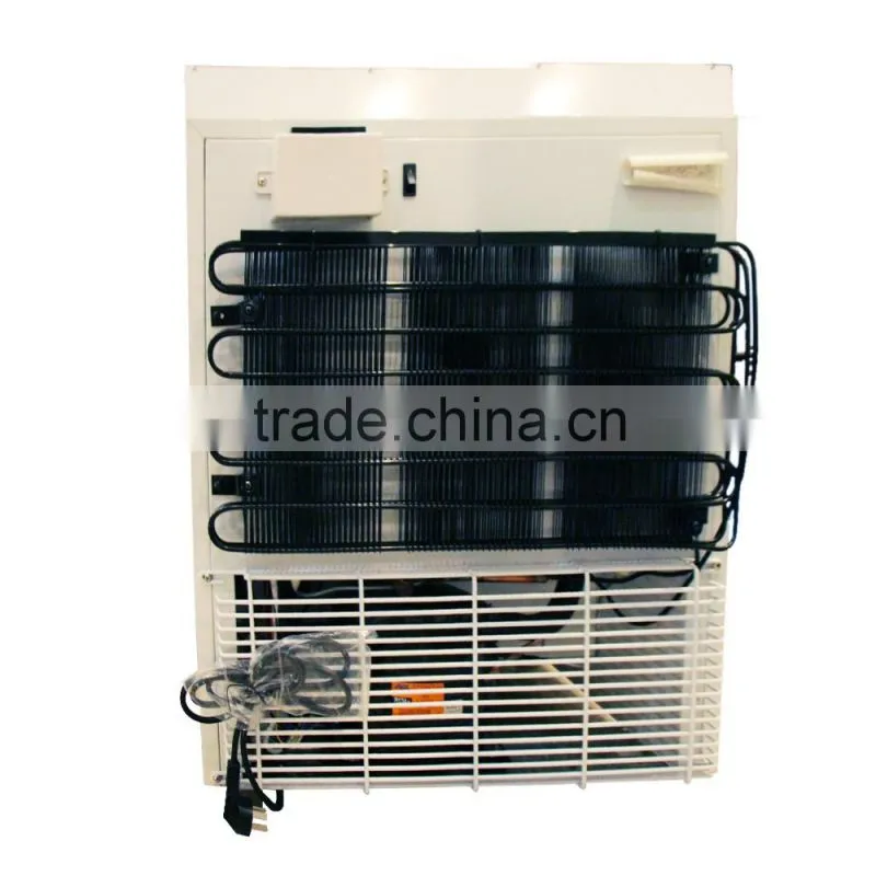 JGA 2016 68L Ice Cream Upright Display Freezer With Single Grass Door For Supermarket Or Shop