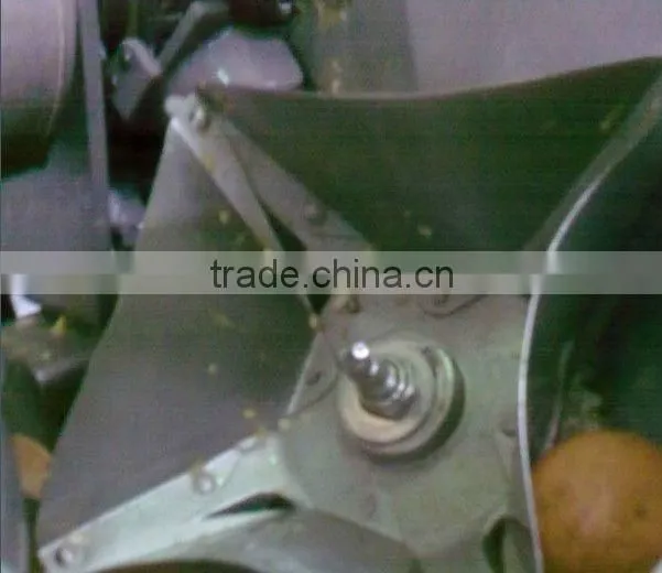 250 unit per minute Automic orange juicing machine