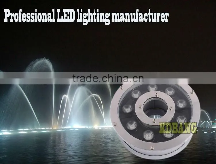 Waterproof IP68 LED Underwater light