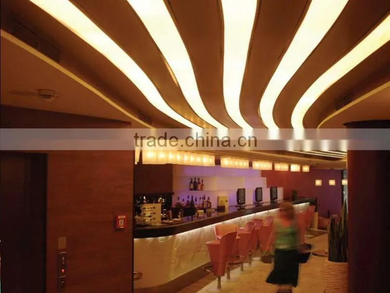 6 years golden supplier waterproof led neon strip IP68 24V led neon flex light