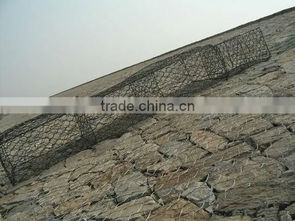 gabion/hexagonal mesh