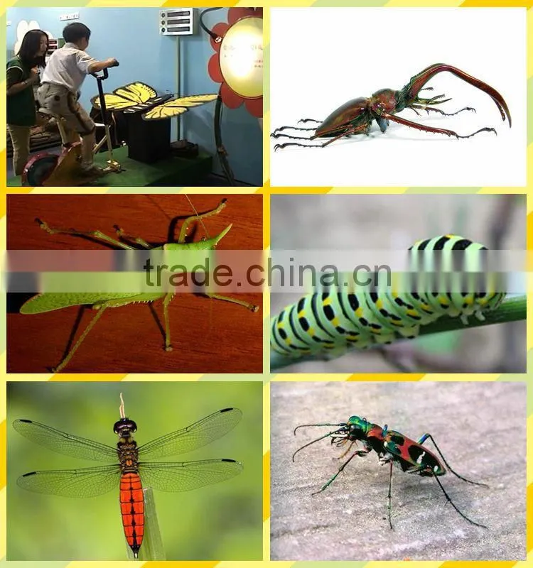 Gaint insect robot models on sale