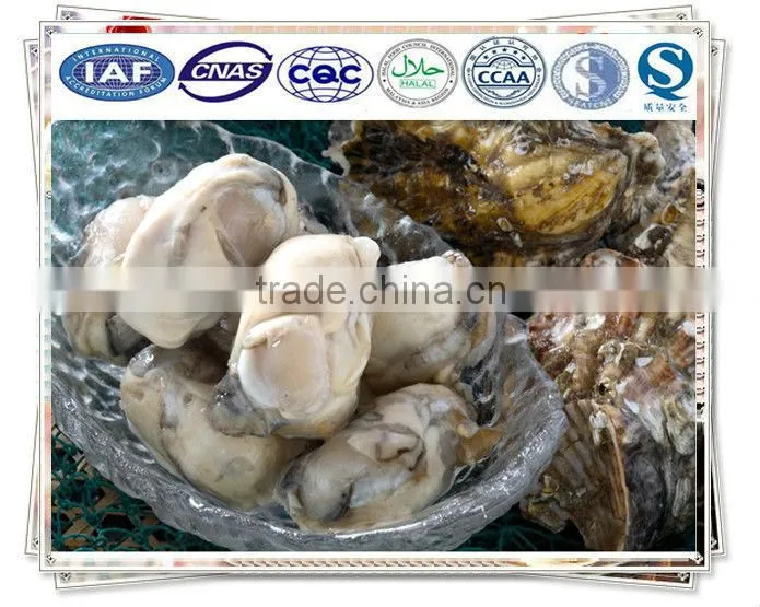 Wild quick-freeze breaded oyster