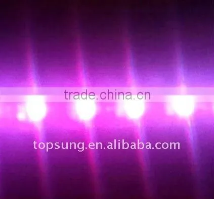 3528 5050SMD AC220V flexible led strip lighting