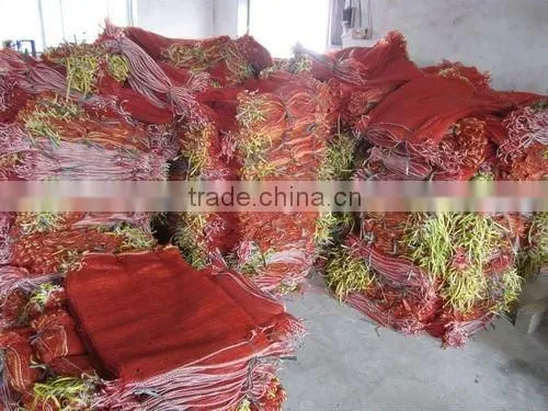 red mesh bag