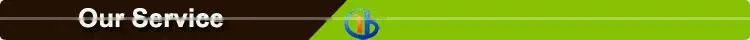 nut dicer machine / nut dicer/ nut dicer machinery