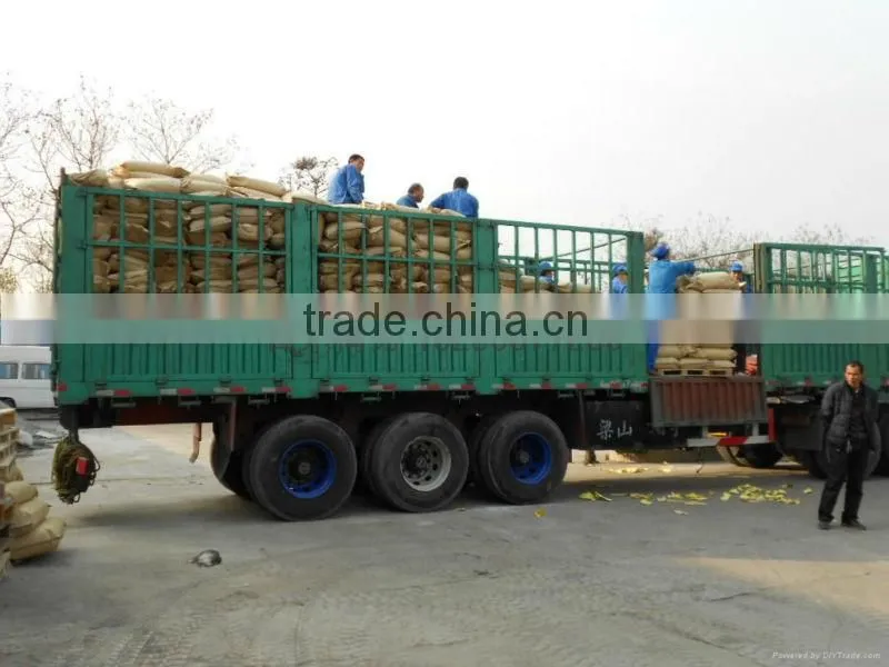 Waste water treatment cation polyacrylamide flocculant