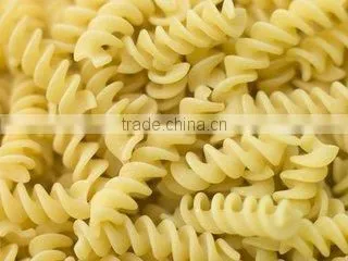 Complete processing line of dry pasta machine