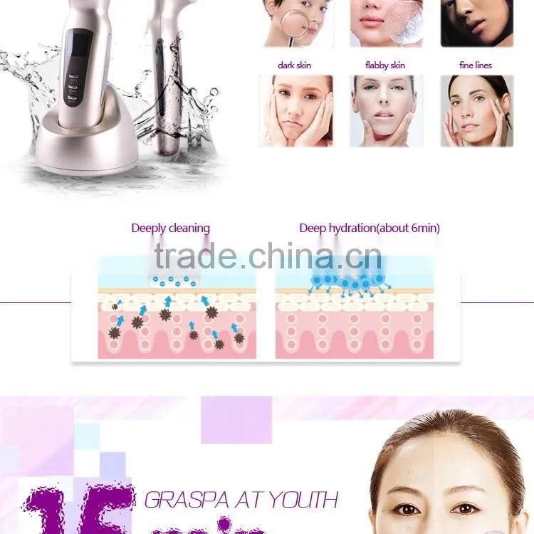 Handheld facial SPA galvanic salon beauty equipment