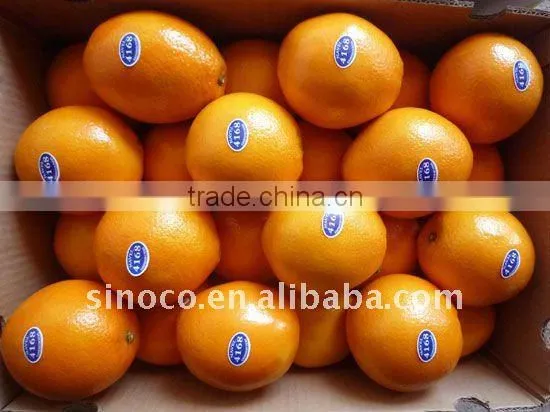 Buy Navel Oranges