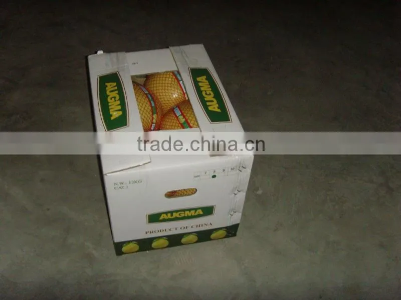 Low Price Chinese pomelo
