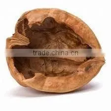 white walnut shell extract/powder 4:1