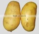 fresh potatos