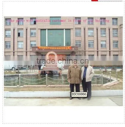 Special QT6-15 Interlocking Block and Hollow Block Making Machine