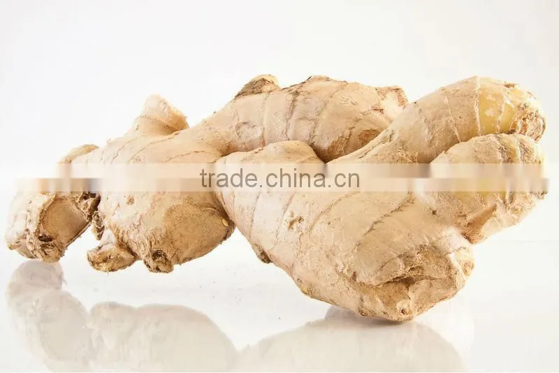 Ginger Extract