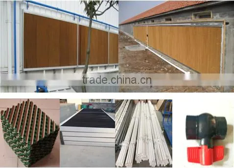 automatic broiler breeding system