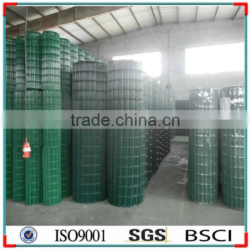 ELECTRO GALVANIZED WELDED MESH 50x50