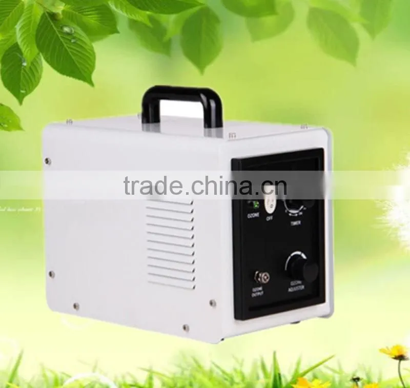 Factory price 3g/h 5g/h Room Ozone Generator For Cleaning Vegetables Environmental