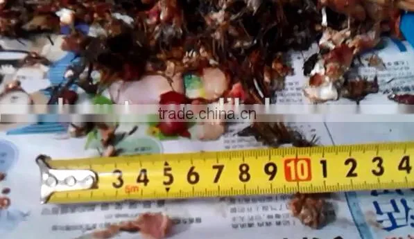 Good performance animal mini shredder machine for dead chicken