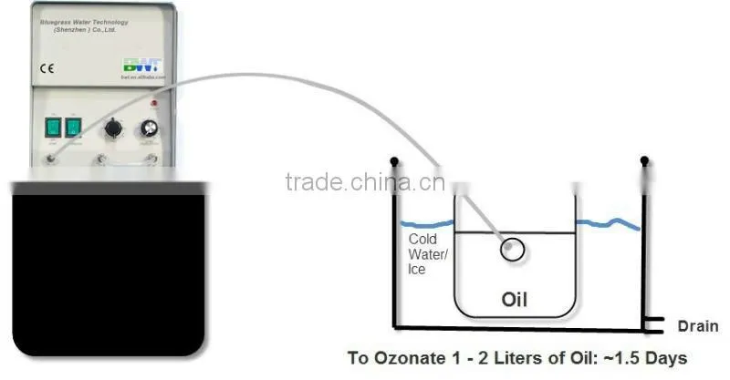 1g smart home air purifier portable car ionizer air purifier 220v air ozone generator machine