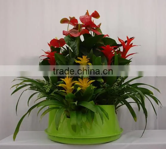 Wholesale Home Decor Table Flower Planter