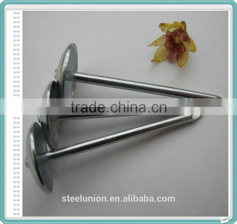 roofing nails/roofing nail supplies