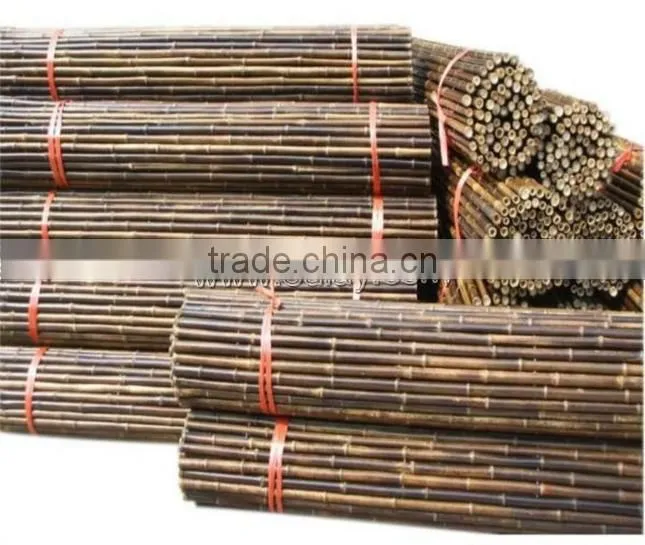 Black dry tonkin bamboo cane/pole