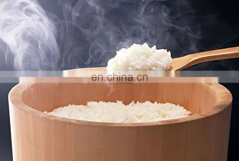 Automatic High quality extruded quickly cook rice machine with CE/produce line/machiens/plant