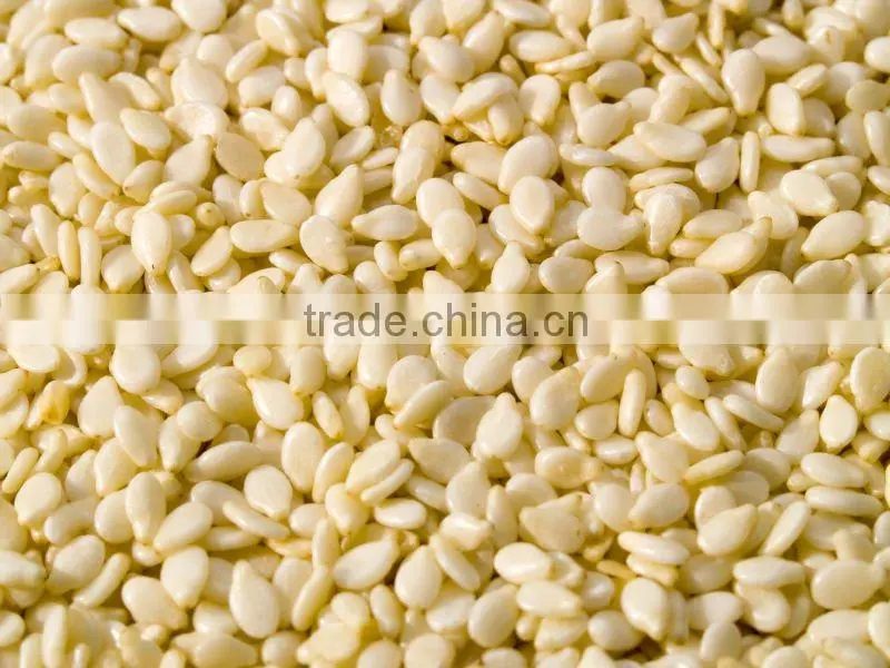 PREMIUM QUALITY INDIAN SESAME SEEDS