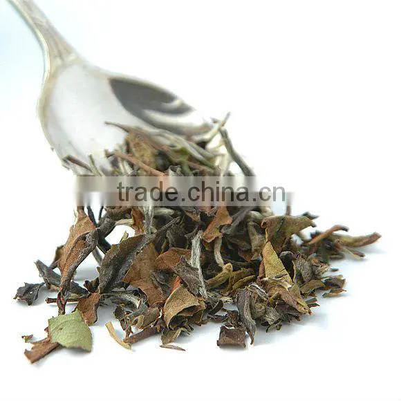 6 years old white Tea