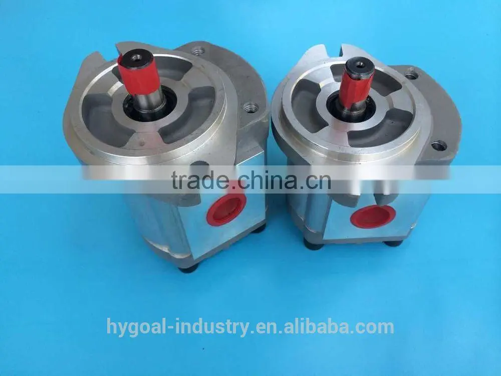 Hydraulic motor