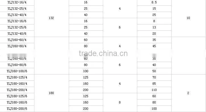 YLJ series low rpm high torque motor