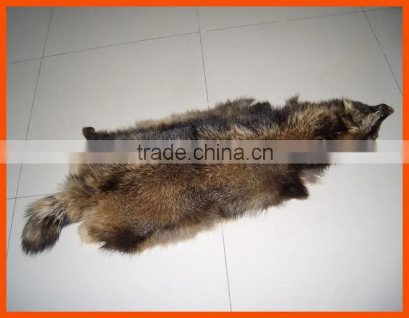 tanned raccoon fur skin