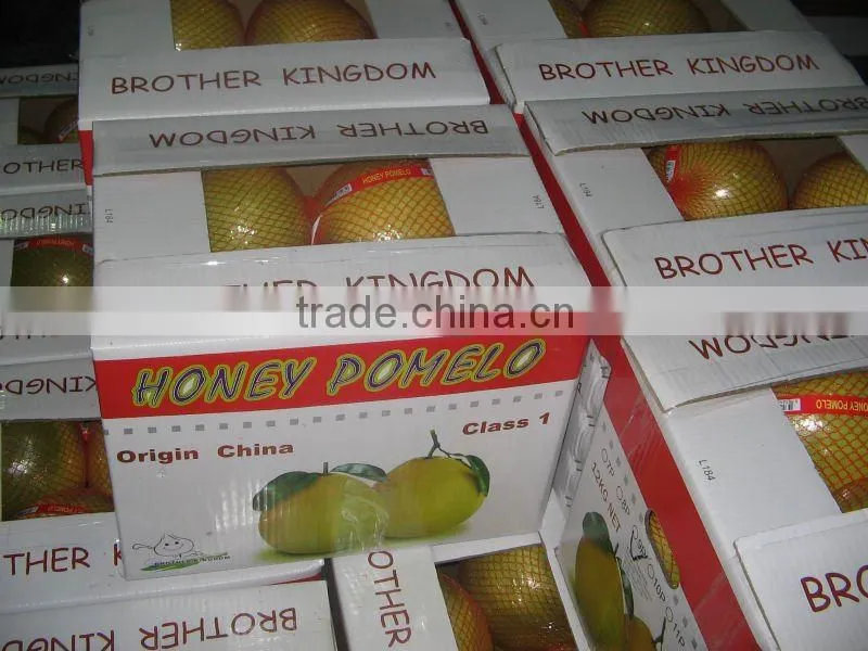 Pomelo,Fresh Pomelo,Honey Pomelo