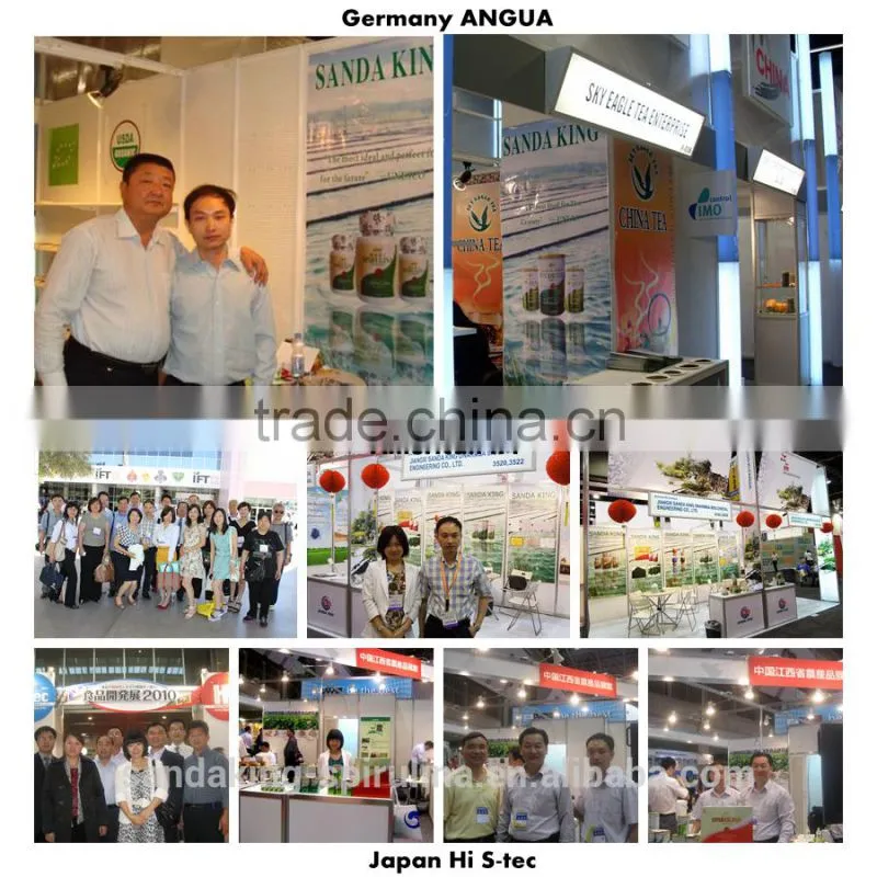 Gmp Certified Manufacturer Supply High Quality Spirulina Powder